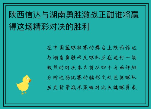 陕西信达与湖南勇胜激战正酣谁将赢得这场精彩对决的胜利
